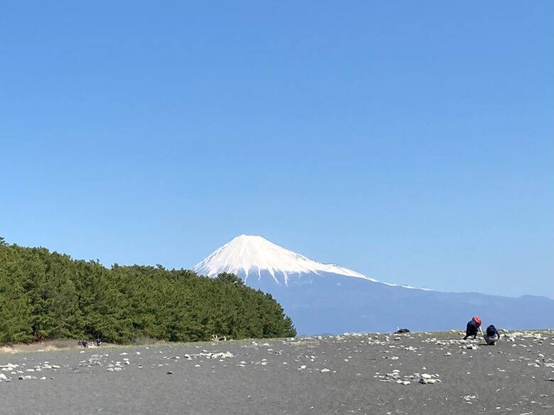 Miho Pine trees and Mt.Fuji